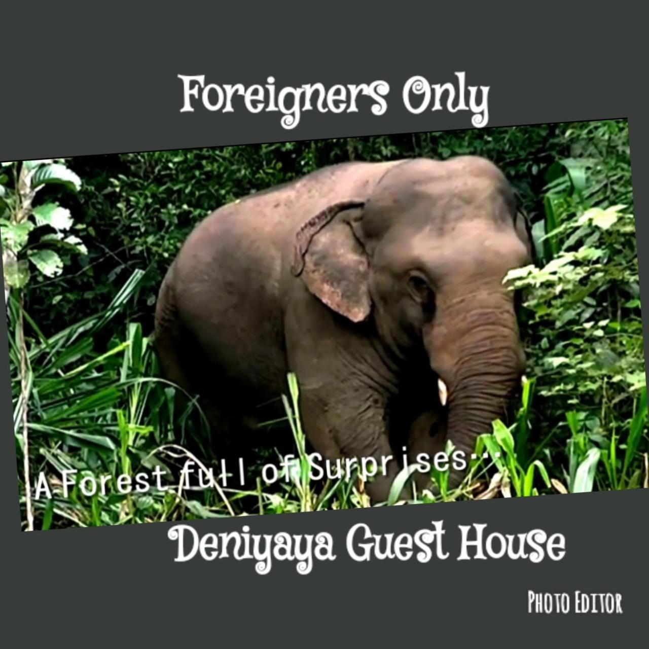 Deniyaya Guest House Εξωτερικό φωτογραφία