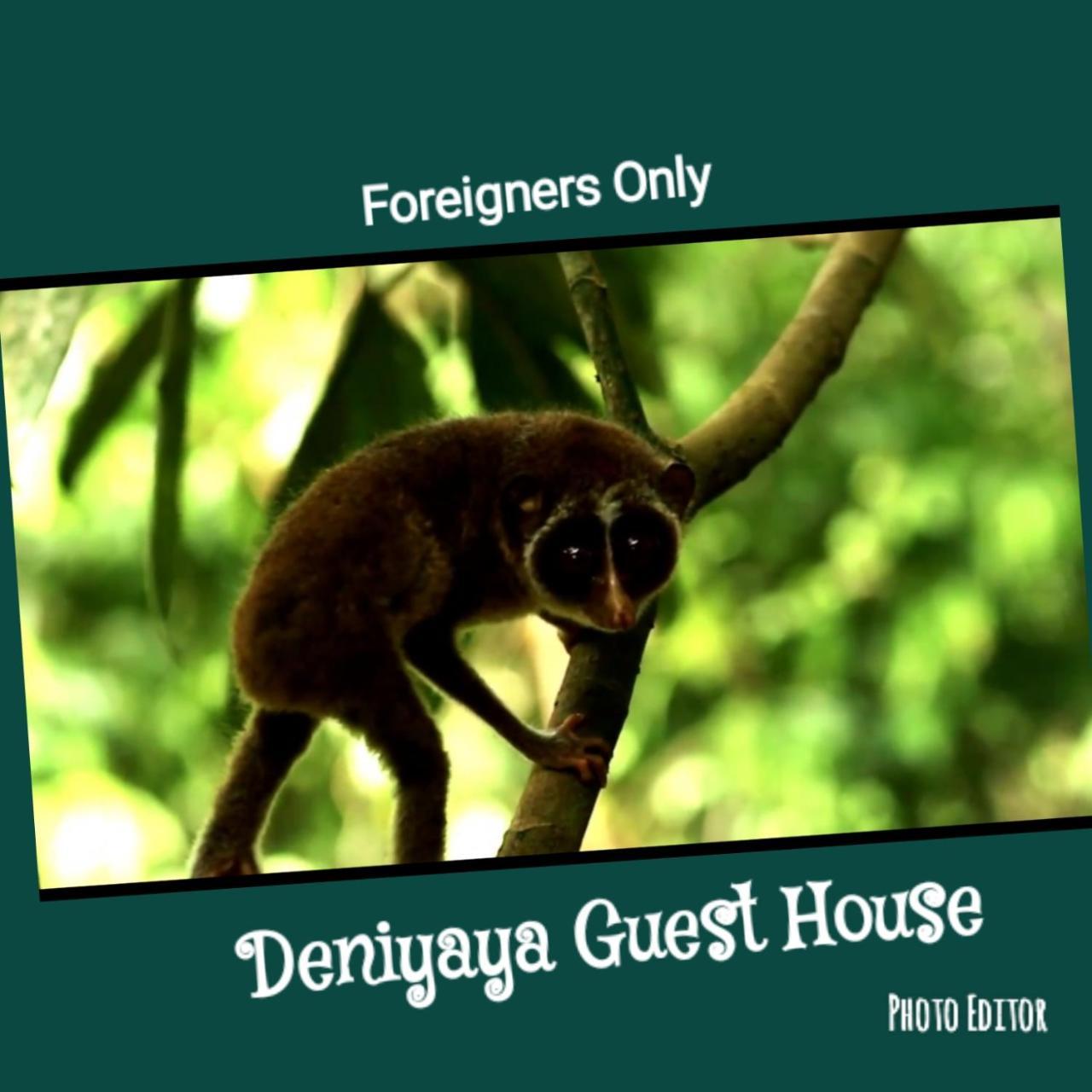Deniyaya Guest House Εξωτερικό φωτογραφία